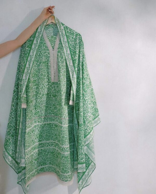 AghaNoor Lawn Dress – Green - Image 2